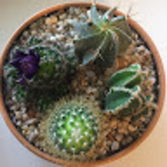 Meet your Posher, Noel - Picture 1 of 1